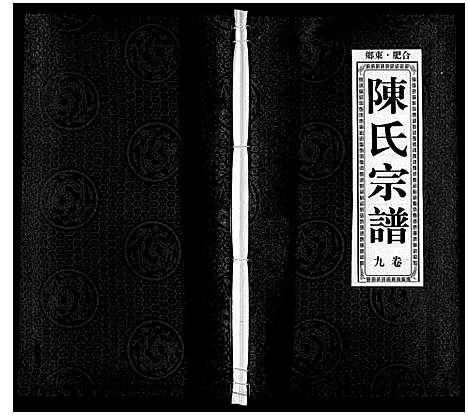 [陈]陈氏宗谱 (安徽) 陈氏家谱_十.pdf