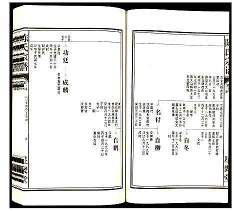 [陈]陈氏宗谱 (安徽) 陈氏家谱_十五.pdf