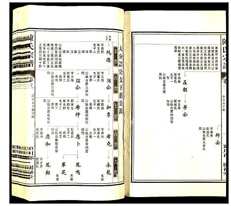 [陈]陈氏宗谱 (安徽) 陈氏家谱_三.pdf