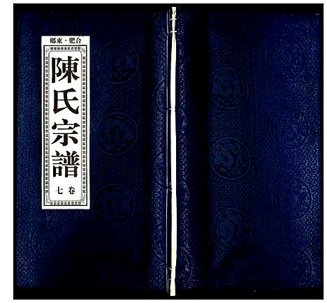 [陈]陈氏宗谱 (安徽) 陈氏家谱_八.pdf