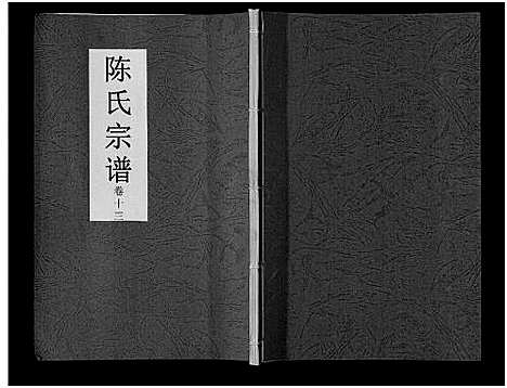 [陈]陈氏宗谱_14卷 (安徽) 陈氏家谱_十一.pdf