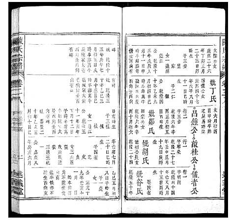 [陈]陈氏宗谱_32卷首1卷_末2卷 (安徽) 陈氏家谱_二十.pdf