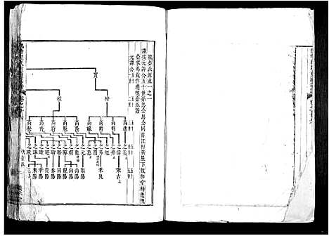 [程]槐塘程氏重修宗谱 (安徽) 槐塘程氏重修家谱.pdf