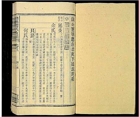 [程]程氏族谱_16卷首2卷_末1卷-潜阳程氏支谱 (安徽) 程氏家谱_九.pdf