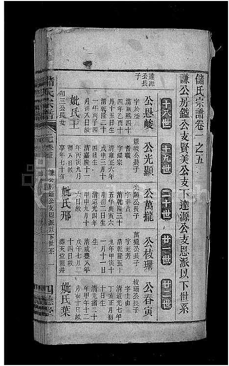 [储]储氏宗谱_残卷-储氏宗谱 (安徽) 储氏家谱_二.pdf