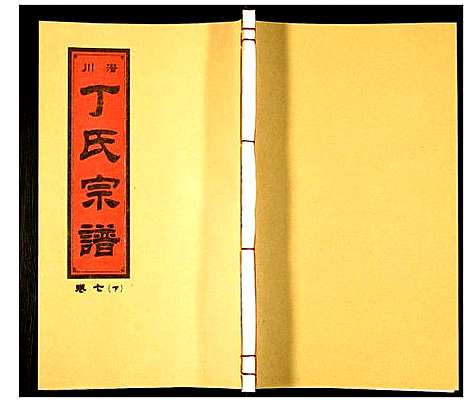 [丁]潜川丁氏宗谱 (安徽) 潜川丁氏家谱_九.pdf