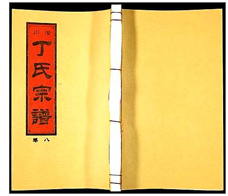 [丁]潜川丁氏宗谱 (安徽) 潜川丁氏家谱_十.pdf