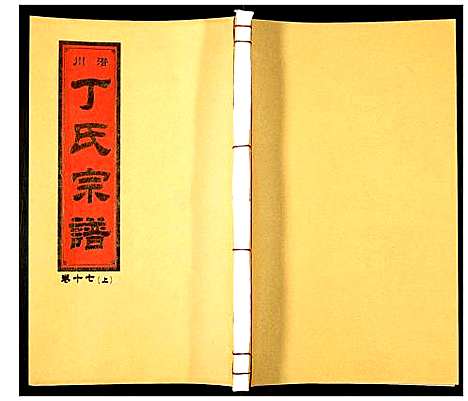 [丁]潜川丁氏宗谱 (安徽) 潜川丁氏家谱_二十一.pdf