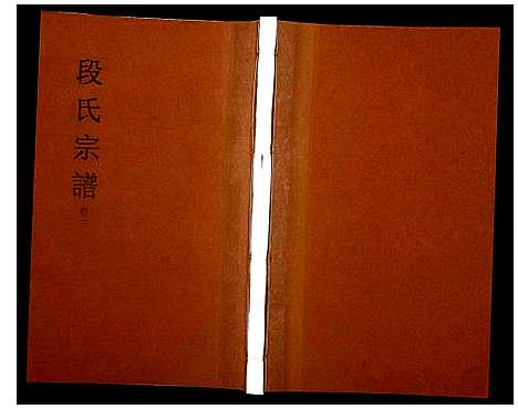 [段]段氏宗谱 (安徽) 段氏家谱_三.pdf