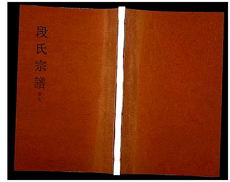 [段]段氏宗谱 (安徽) 段氏家谱_五.pdf