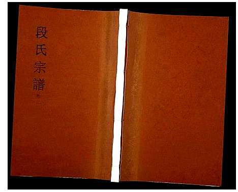 [段]段氏宗谱 (安徽) 段氏家谱_九.pdf