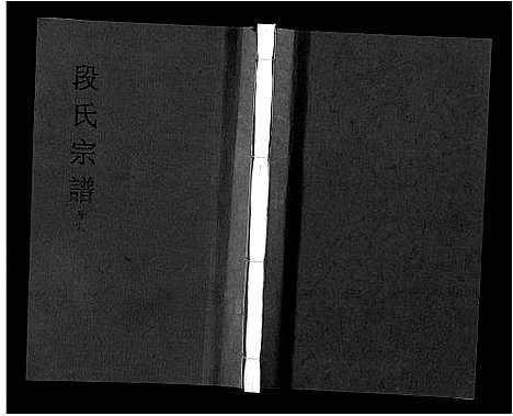 [段]段氏宗谱_不分卷 (安徽) 段氏家谱_八.pdf