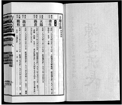 [方]方氏宗谱 (安徽) 方氏家谱_三十八.pdf