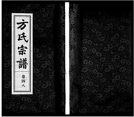 [方]方氏宗谱 (安徽) 方氏家谱_四十八.pdf