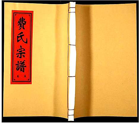 [费]费氏宗谱 (安徽) 费氏家谱_五.pdf