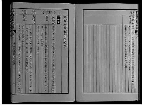 [高]板桥高氏宗谱_27卷首1卷 (安徽) 板桥高氏家谱_十.pdf