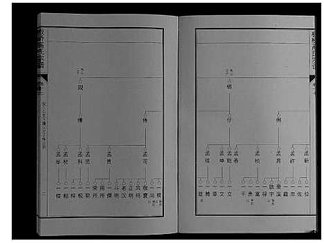 [高]板桥高氏宗谱_27卷首1卷 (安徽) 板桥高氏家谱_三十一.pdf