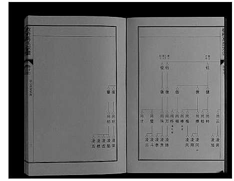 [高]板桥高氏宗谱_27卷首1卷 (安徽) 板桥高氏家谱_四十八.pdf