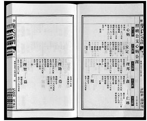 [龚]合肥龚氏宗谱 (安徽) 合肥龚氏家谱_十三.pdf