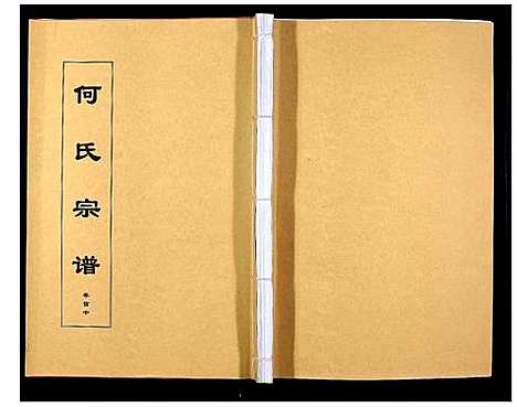 [何]何氏宗谱_8卷首2卷 (安徽) 何氏家谱_二.pdf