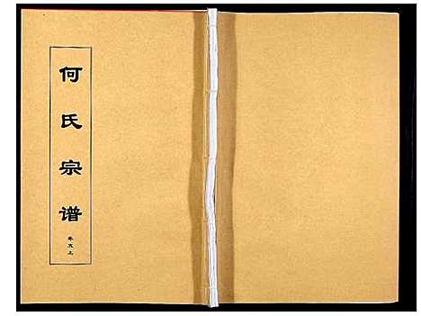 [何]何氏宗谱_8卷首2卷 (安徽) 何氏家谱_九.pdf