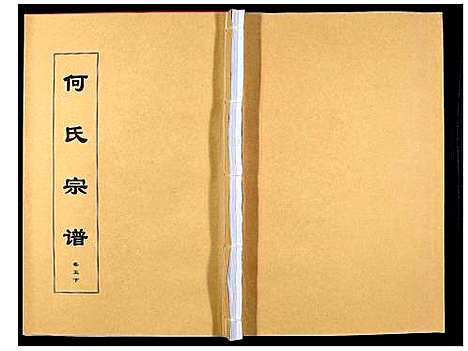 [何]何氏宗谱_8卷首2卷 (安徽) 何氏家谱_十.pdf