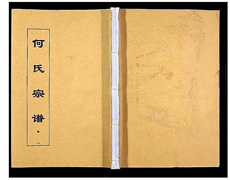 [何]何氏宗谱_8卷首2卷 (安徽) 何氏家谱_十三.pdf