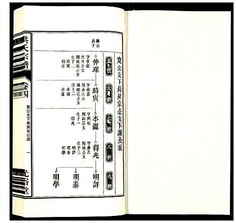 [洪]洪氏宗谱 (安徽) 洪氏家谱_九.pdf