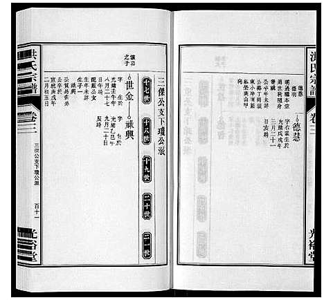 [洪]洪氏宗谱_5卷 (安徽) 洪氏家谱_八.pdf