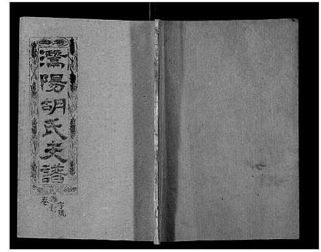 [胡]安定郡潜阳胡氏支谱 (安徽) 安定郡潜阳胡氏支谱_八.pdf