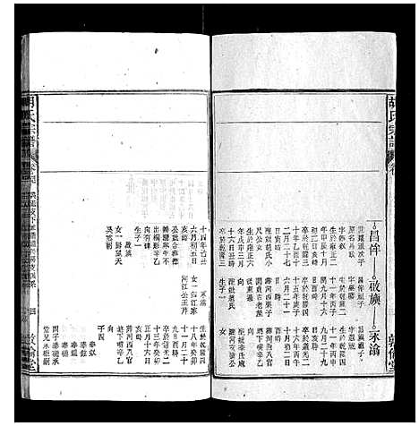 [胡]胡氏宗谱 (安徽) 胡氏家谱_四十二.pdf