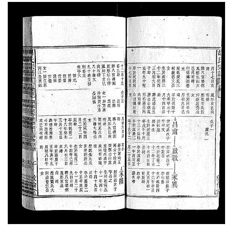 [胡]胡氏宗谱 (安徽) 胡氏家谱_四十五.pdf