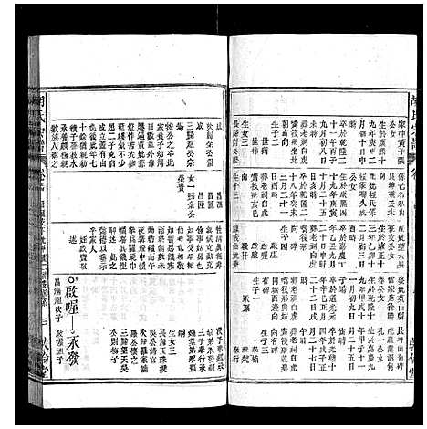 [胡]胡氏宗谱 (安徽) 胡氏家谱_四十九.pdf