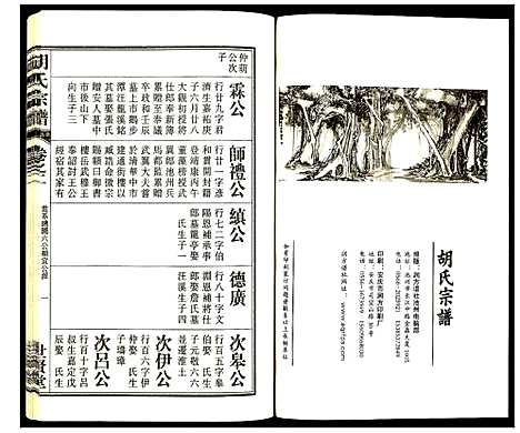 [胡]胡氏宗谱 (安徽) 胡氏家谱_三.pdf