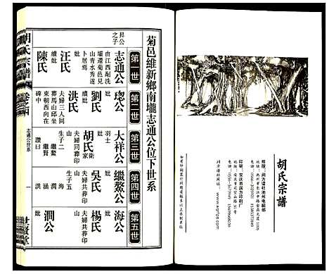 [胡]胡氏宗谱 (安徽) 胡氏家谱_五.pdf