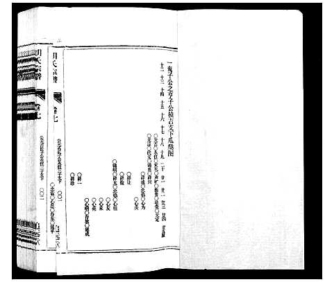 [胡]胡氏宗谱_21卷首1卷 (安徽) 胡氏家谱_八.pdf