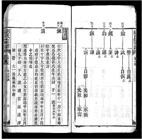 [胡]胡氏宗谱_上22卷_下4卷-皖桐胡氏宗谱_胡氏四修宗谱 (安徽) 胡氏家谱_十三.pdf