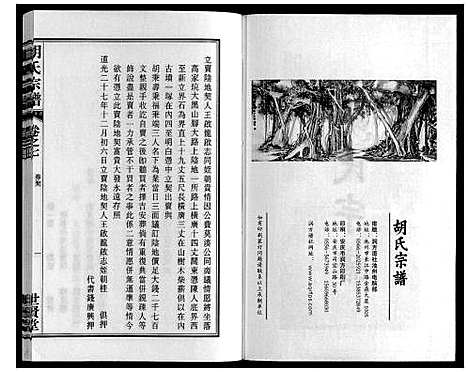 [胡]胡氏宗谱_7卷首1卷 (安徽) 胡氏家谱_八.pdf