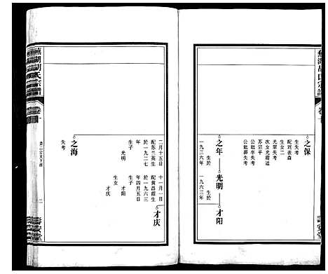 [胡]芜湖胡氏宗谱_24卷 (安徽) 芜湖胡氏家谱_九.pdf