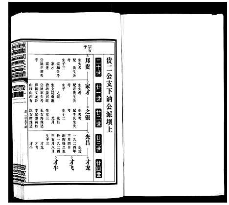 [胡]芜湖胡氏宗谱_24卷 (安徽) 芜湖胡氏家谱_十一.pdf