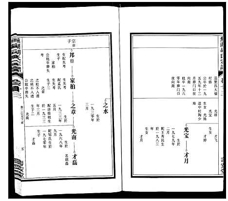 [胡]芜湖胡氏宗谱_24卷 (安徽) 芜湖胡氏家谱_十二.pdf