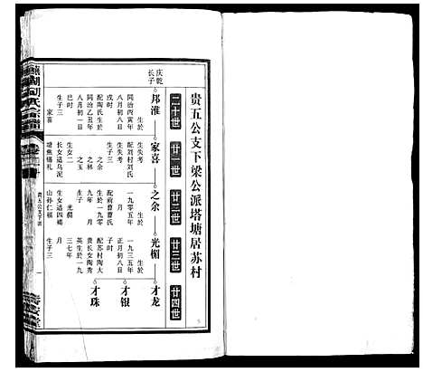 [胡]芜湖胡氏宗谱_24卷 (安徽) 芜湖胡氏家谱_十九.pdf