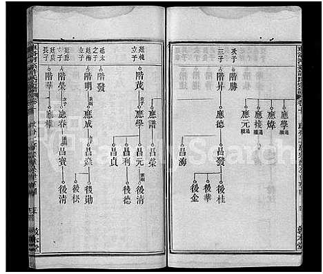 [许]车洛河系许氏六修宗谱_8卷_世系25卷-车洛河系许氏乙亥六修宗谱三十三卷_车洛河系许氏宗谱 (安徽) 车洛河系许氏六修家谱_十三.pdf