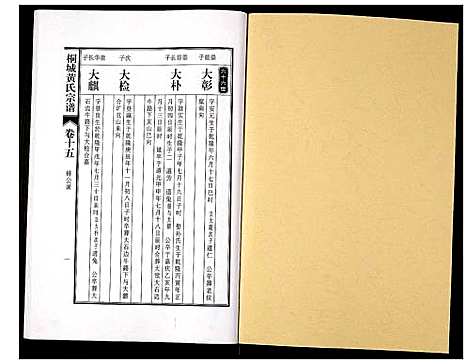 [黄]桐城黄氏宗谱 (安徽) 桐城黄氏家谱_十七.pdf