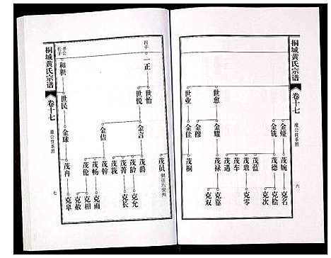 [黄]桐城黄氏宗谱 (安徽) 桐城黄氏家谱_十九.pdf