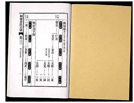 [黄]桐城黄氏宗谱 (安徽) 桐城黄氏家谱_三十五.pdf