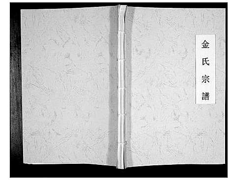 [金]金氏家谱_不分卷 (安徽) 金氏家谱.pdf