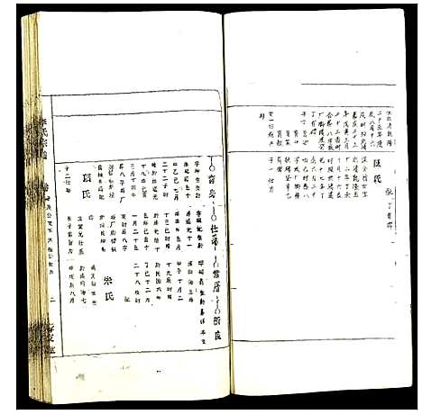 [李]李氏宗谱 (安徽) 李氏家谱_九.pdf