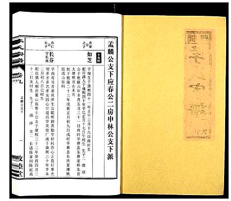 [李]李氏宗谱_30卷 (安徽) 李氏家谱_九.pdf