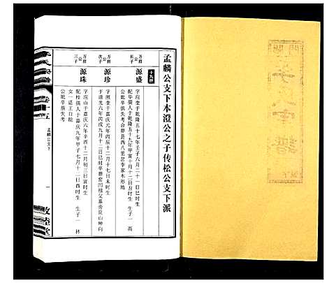 [李]李氏宗谱_30卷 (安徽) 李氏家谱_十五.pdf